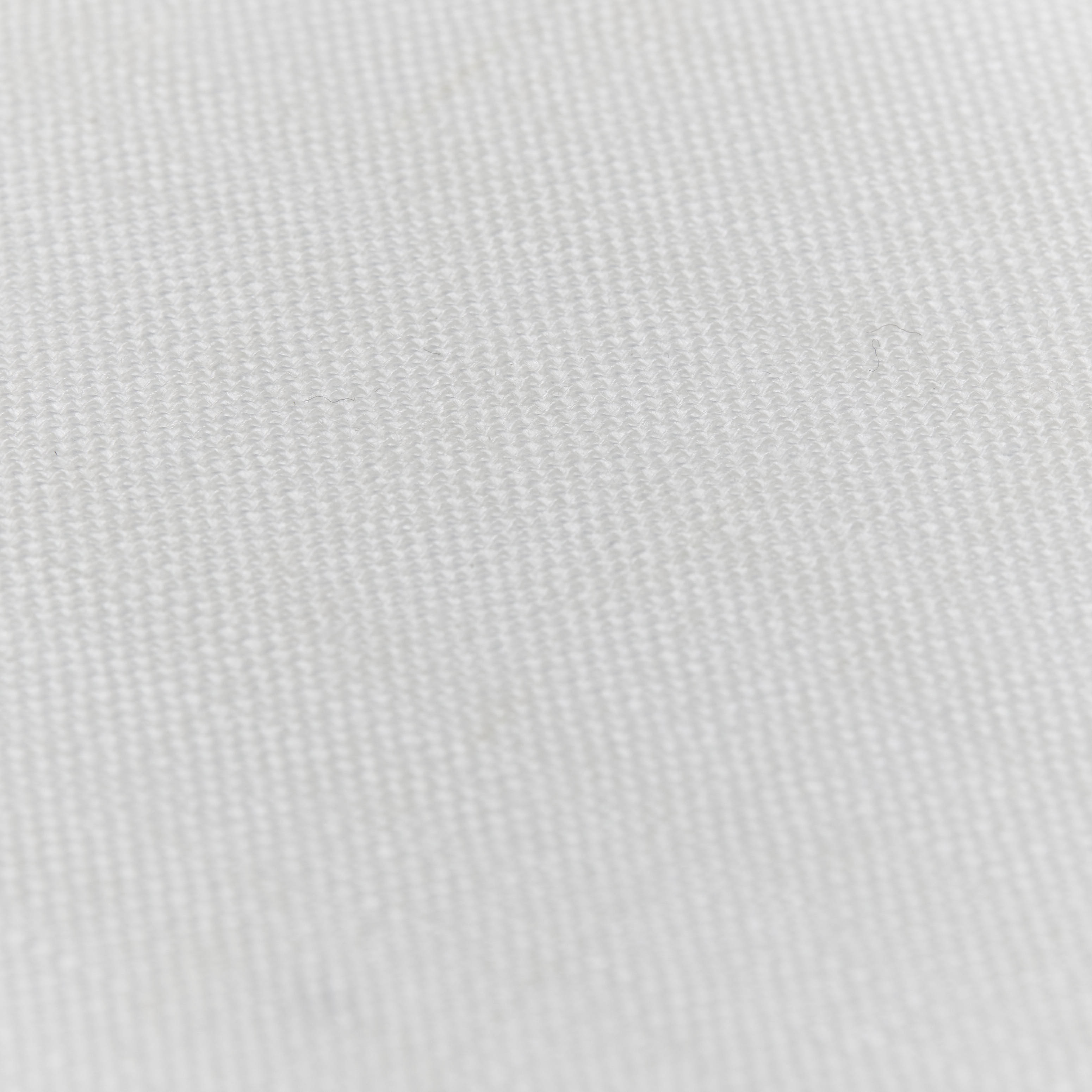 Mirtillo